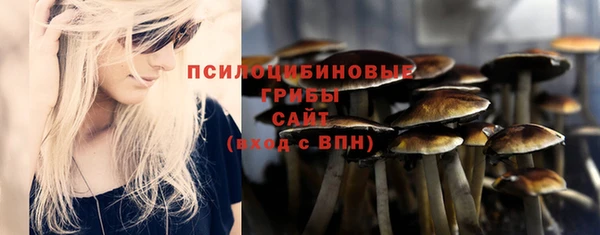 стаф Арсеньев