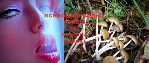 MDMA Premium VHQ Приозерск