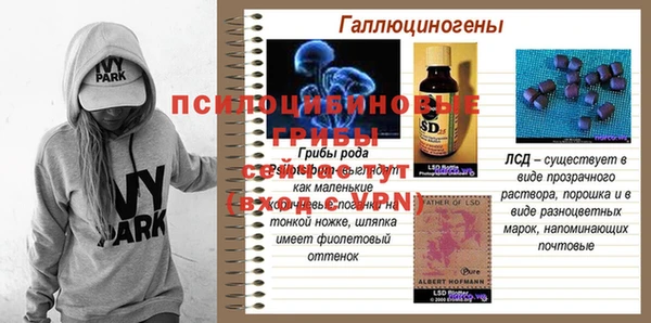 шишки Ростов