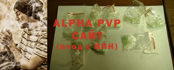стаф Арсеньев